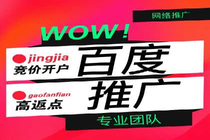 SEM竞价广告投放效果案例分析